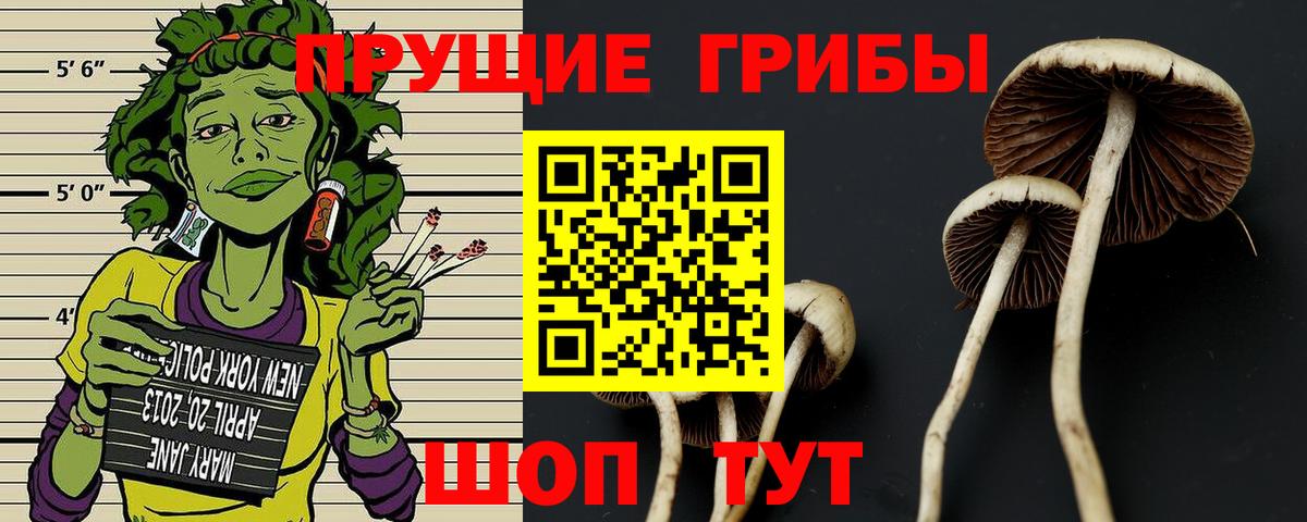 Псилоцибиновые грибы мухоморы  Вход с VPN  Гай 